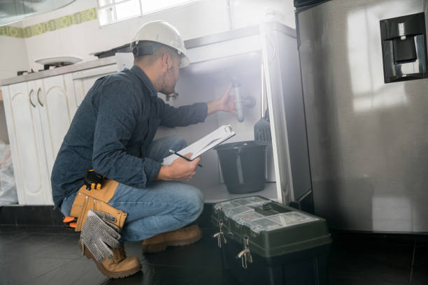 Best Plumbing Services Near Me  in Los Fresnos, TX