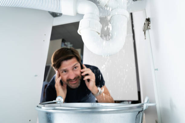 Best Affordable Plumbing Services  in Los Fresnos, TX